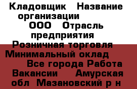 Кладовщик › Название организации ­ O’stin, ООО › Отрасль предприятия ­ Розничная торговля › Минимальный оклад ­ 17 200 - Все города Работа » Вакансии   . Амурская обл.,Мазановский р-н